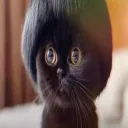 ˗ˏˋ /eeery Discord Server Icon