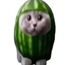 Catermelon server