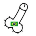 PintosdoBrasil