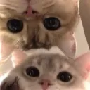 "빵야"