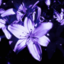 ／ 𝙇𝙐𝙓𝙄𝘼  #Scrim Discord server icon