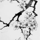 ‧୧ ‧₊˚Numai 🍵 ⋅‧₊ ᵎᵎ Discord server icon