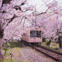 [ 𝕃𝕐𝕃 ] 𝕃𝕠𝕪𝕒𝕝𝕥𝕪 ♕ Discord server icon