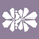 no6z8