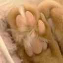 /pawzie