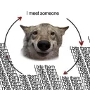 Dirt & Paws -  Discord Server Icon