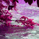 Void • Community • Anime • Chill Discord server icon