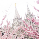 ═╪🍓†̥̈˚̣̣̣ 𝕽𝐀𝐒𝐏𝐁𝐄𝐑𝐑𝐘 𝕬𝐂𝐀𝐃𝐄𝐌𝐘. ᣟ༢ི࿙࿚ྀ