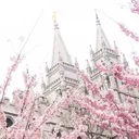 ═╪🍓†̥̈˚̣̣̣ 𝕽𝐀𝐒𝐏𝐁𝐄𝐑𝐑𝐘 𝕬𝐂𝐀𝐃𝐄𝐌𝐘. ᣟ༢ི࿙࿚ྀ