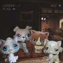 𝙿𝚊𝚛𝚊𝚍𝚒𝚜𝚎 Discord server icon