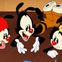 Fanimaniacs