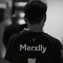 Merxlly 300$