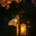 The Lantern Lounge
