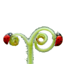 🐾  ;  MULTIFANDOMVERSE     🐞     ✦ Discord server icon