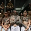 Mara Salvatrucha ExileRP