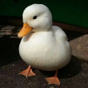 ・┆✦ʚ-The-Cozy-Corner-ɞ✦ ┆・ Discord server icon