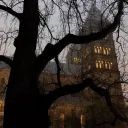 GRAND COLLEGIUM ACADEMY OF MAG... Discord Server Icon