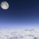 Fisher's Palace Discord server icon