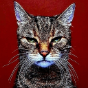 KATZ Discord server icon