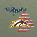 [🪖] Fort Michigan Discord server icon