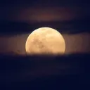 Moonlight Support Discord Server Icon