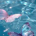 ♡    ` ~ MONOBLUE - COMMUNITY ♡