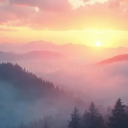 𝘾𝙤𝙢𝙥𝙡𝙞𝙢𝙚𝙣𝙩𝙖𝙧𝙮 Discord server icon