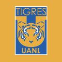 TIGRES UANL | COMP ONLY Discord Server Icon