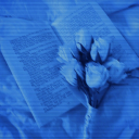 ˖°‧roly's hideout‧°˖ Discord Server Icon