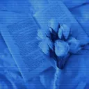 ˖°‧roly's hideout‧°˖ Icon