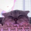 ˚₊‧꒰ა Miau ໒꒱ ‧₊˚