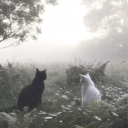 Zandy's prison Discord server icon