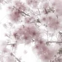 𝓜𝓲𝓭𝓷𝓲𝓰𝓱𝓽 𝓖𝓪𝓻𝓭𝓮𝓷☾