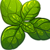 Garden, Trees & Tea Discord server icon