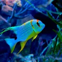 Ex Server abusivo di Seramondi