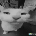 /voidcore