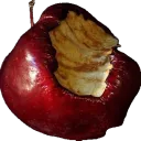 ᖇ᥆ᵗᵗꫀׁׅܻܻ݊ᥒ  ᗩ℘℘ꪶᥱ
