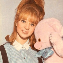 Sgt. Pepper's Lonely Hearts Club Band Discord server icon