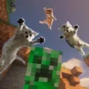 live do pr3mii :)