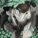 𝓛𝓾𝓬𝓴𝔂 𝓦𝓲𝓷𝓰𝓼 𝓞𝓢