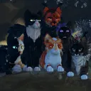 WC:4C : Cosy Camp Casuals