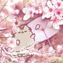 🌸✧Cootie Community✧🌸