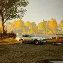 Forza Cruises