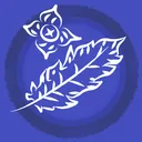 Night Owl Network