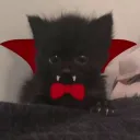 9L Discord server icon