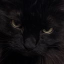 🔪STABCORD🔪 Discord server icon