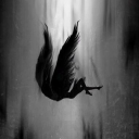 Fallen ★ ・vc ・social・looking for partners