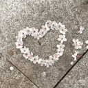 spring seraphims' gateway Discord server icon