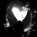 Wings and Whispers