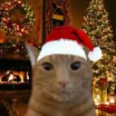 LatinoBanda Discord server icon